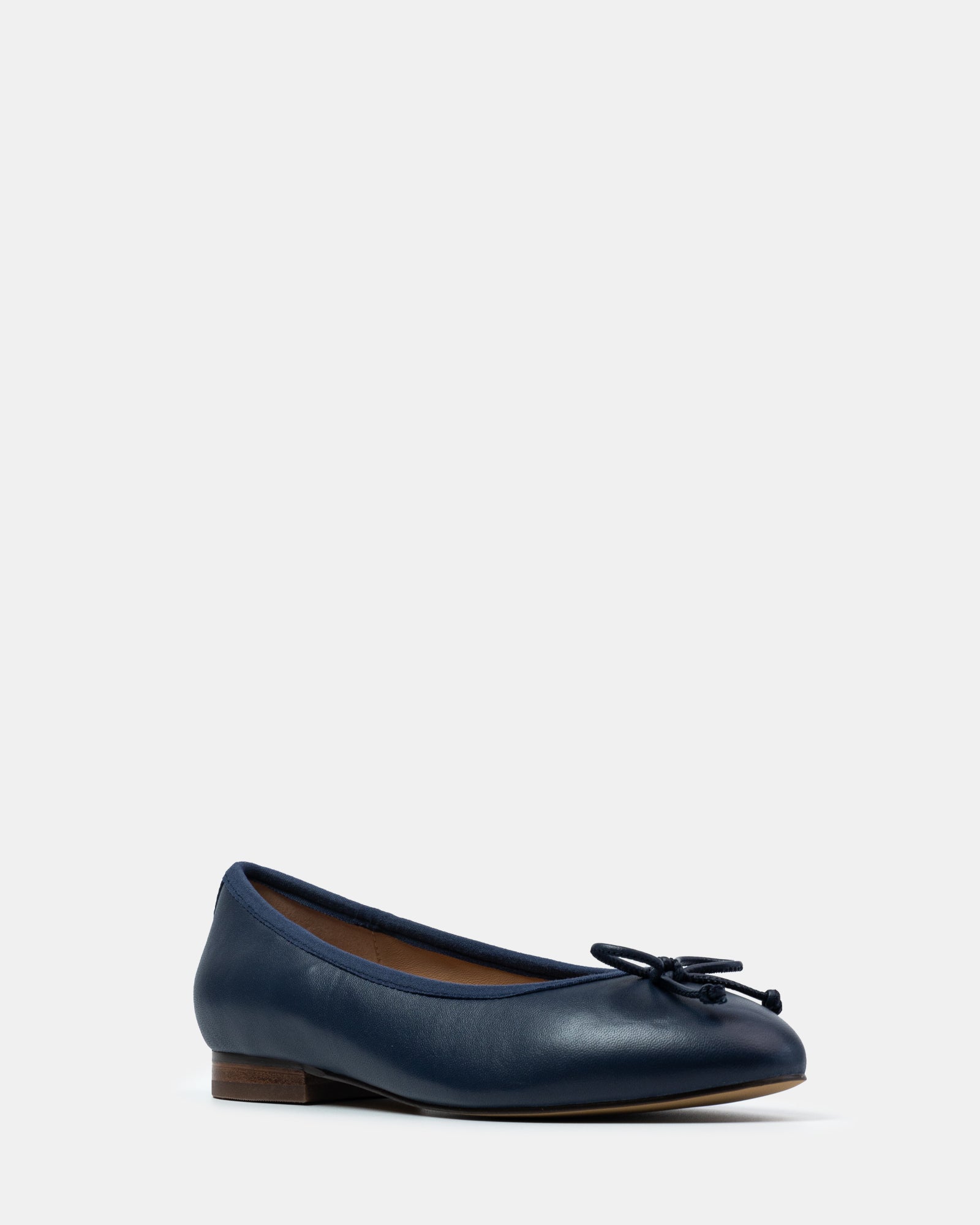 Alina Navy Leather Ballet Flat