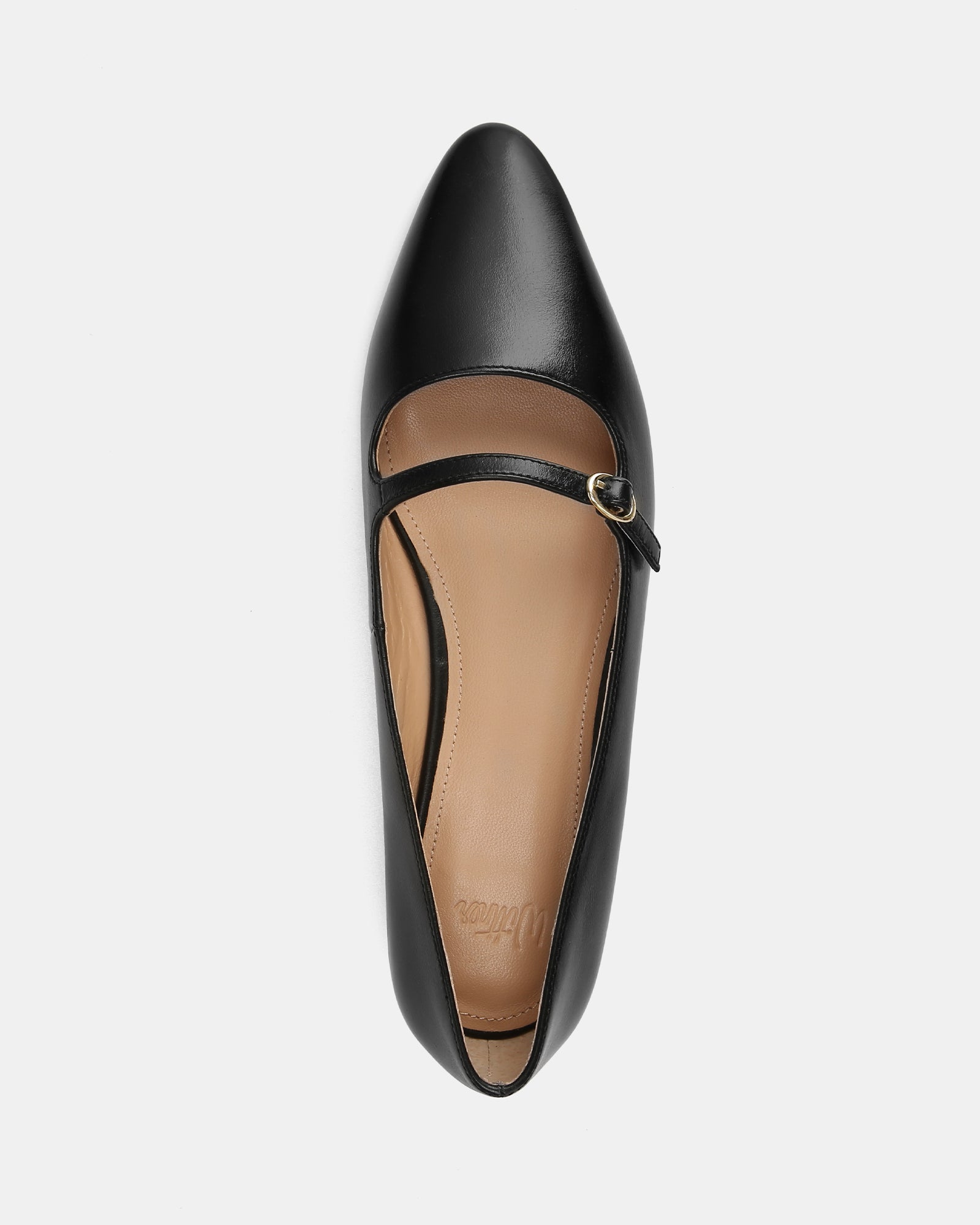 Carina Black Leather Pointed Ballet Flat