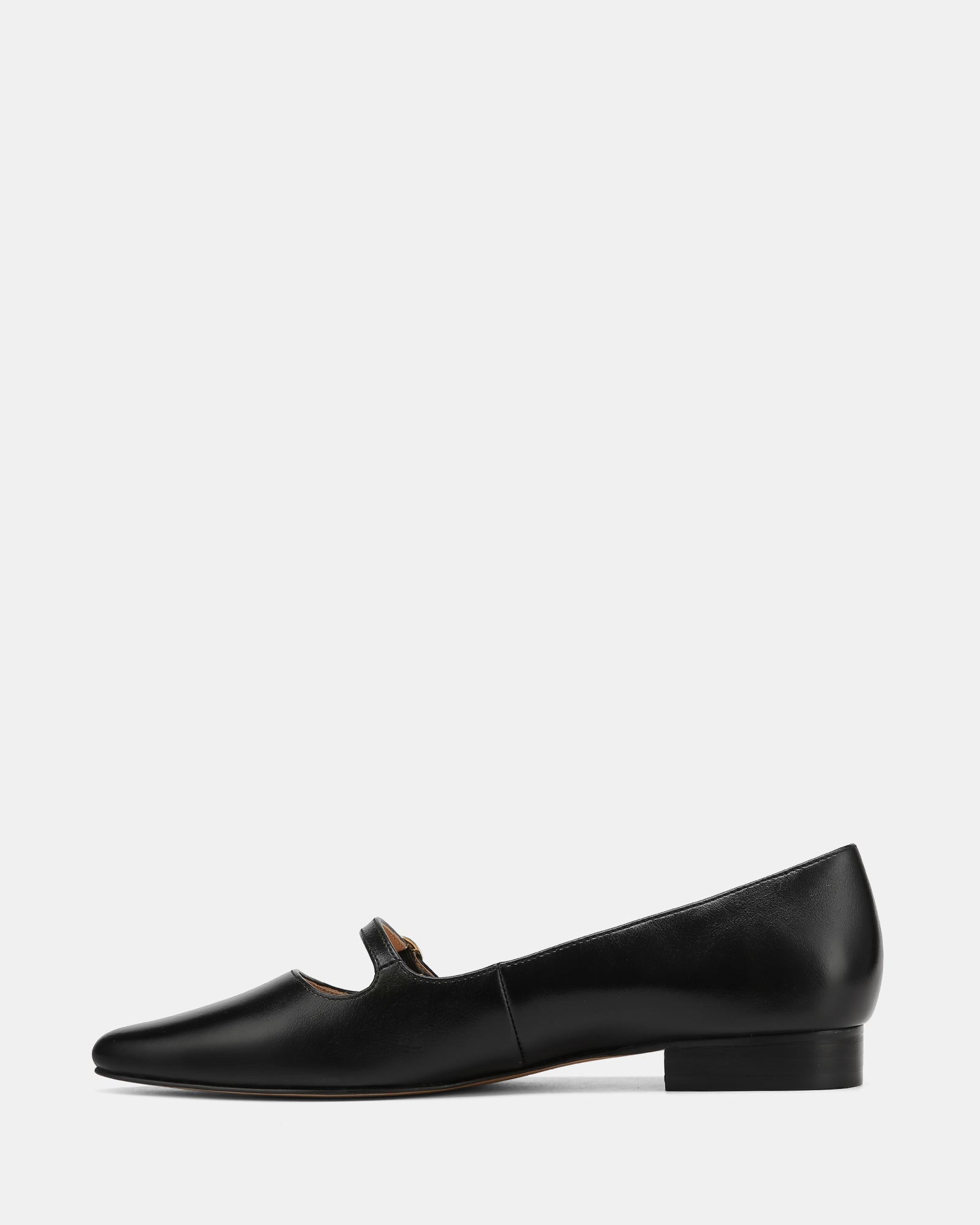 Carina Black Leather Pointed Ballet Flat