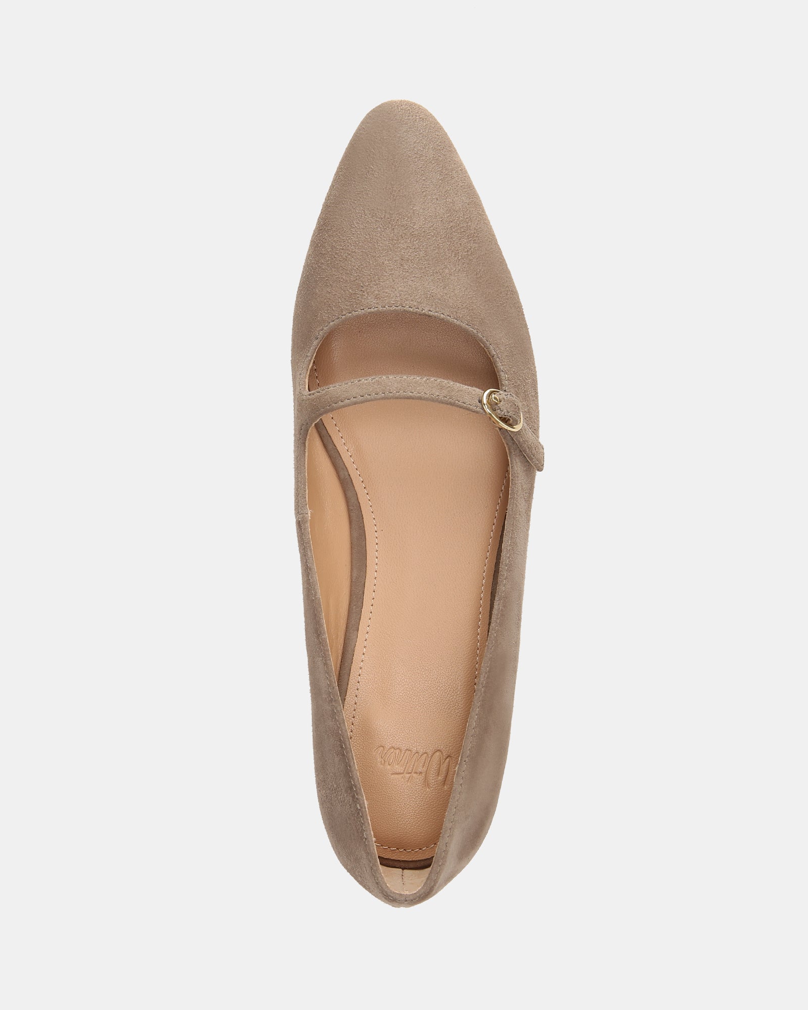 Carina Taupe Suede Leather Pointed Ballet Flat