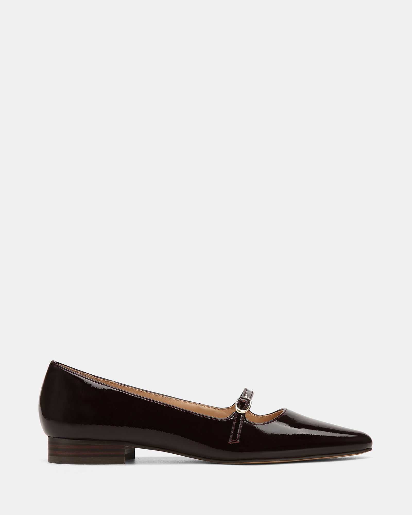 Carina Raisin Patent Leather Pointed Ballet Flat